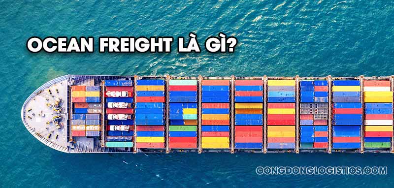 Ocean Freight là gì